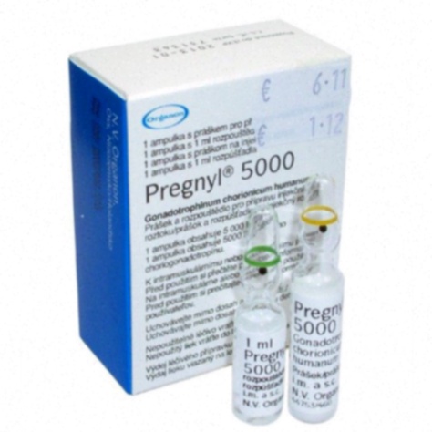 pregnyl